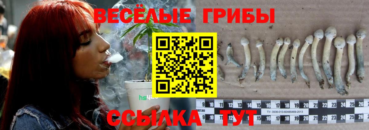 Знаменск  Псилоцибиновые грибы мухоморы  купить наркоту  Вход с VPN 