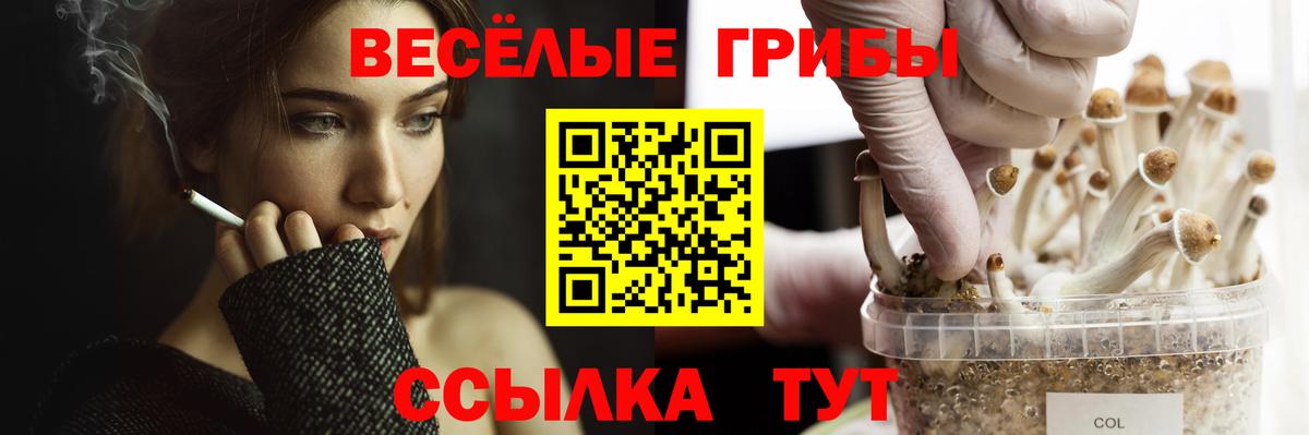 Псилоцибиновые грибы ЛСД Знаменск