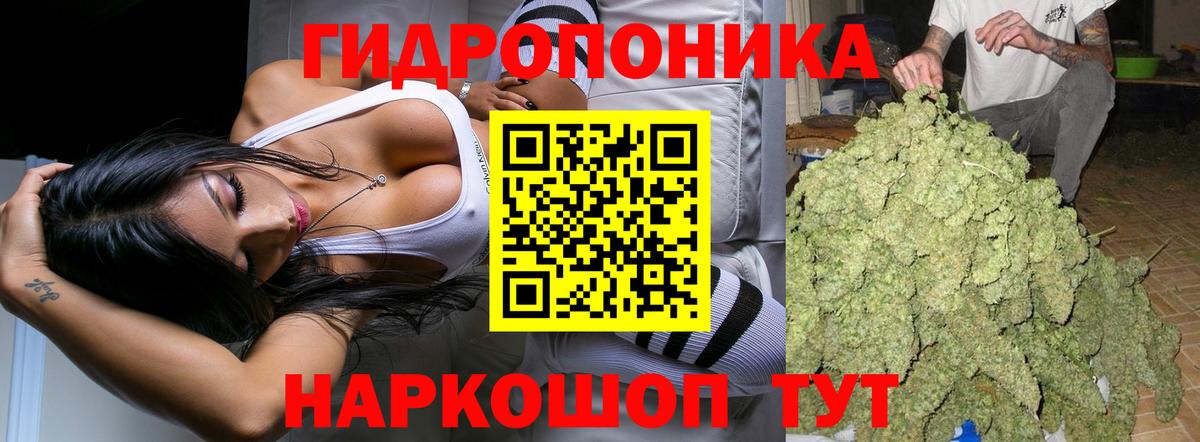 Бошки марихуана план Знаменск